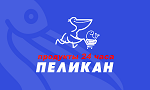 Пеликан